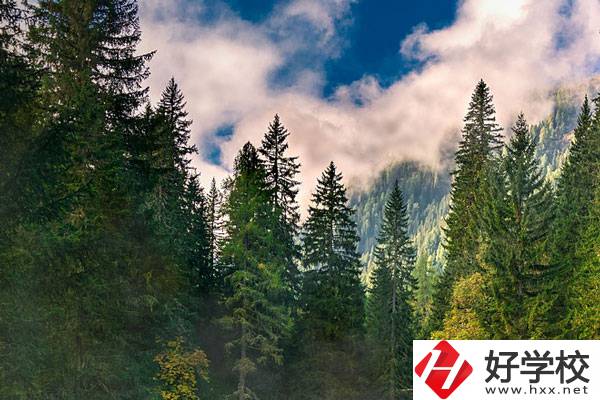 永州東方科技職業(yè)學(xué)校有哪些辦學(xué)特色？