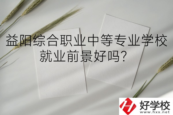 益陽綜合職業(yè)中等專業(yè)學校如何？就業(yè)前景好嗎？