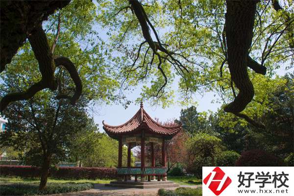 長沙市望城區(qū)職業(yè)中等專業(yè)學(xué)校的官網(wǎng)是什么？