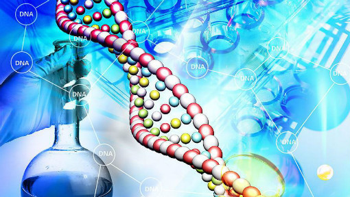 生物技術(shù)制藥