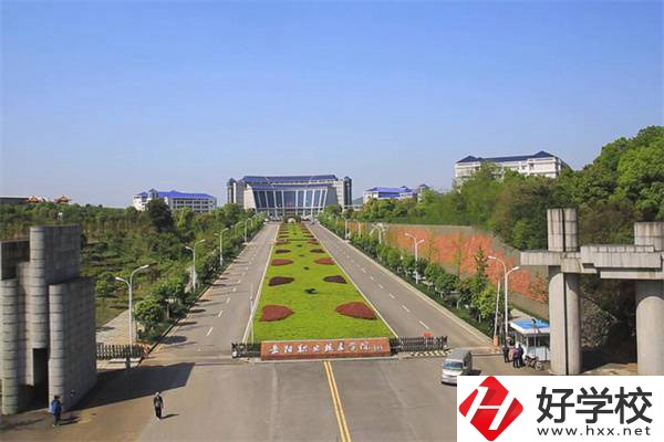 湖南有五年制衛(wèi)校嗎？衛(wèi)校都開(kāi)設(shè)有哪些醫(yī)衛(wèi)專業(yè)？
