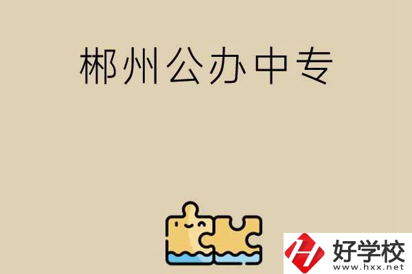 郴州公辦中專有哪些開設(shè)了電子商務(wù)專業(yè)？