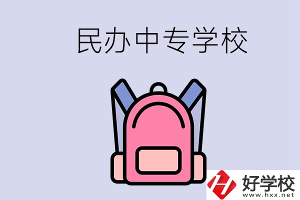 益陽的民辦中專學(xué)校有多少所？辦學(xué)怎么樣？