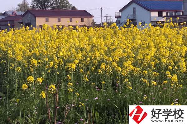 湖南省有哪些比較好的技校？熱門(mén)專業(yè)有哪些？