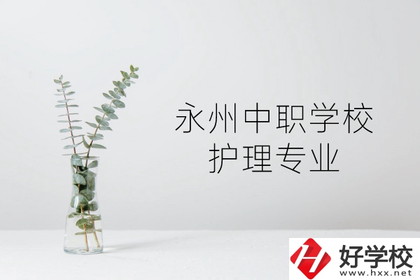 永州有哪些護(hù)理專業(yè)的中職學(xué)校？