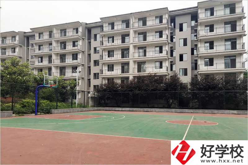 衡陽科技工程學(xué)?；@球場