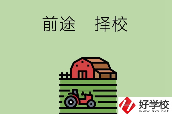 在長沙讀中職學校有前途嗎，如何擇校？