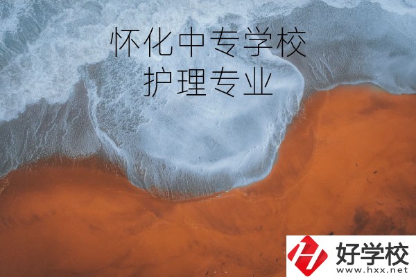懷化有學(xué)護(hù)理專(zhuān)業(yè)的中專(zhuān)學(xué)校嗎？