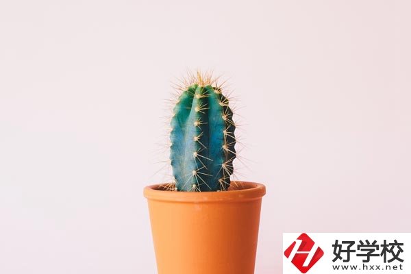 長(zhǎng)沙有哪些中職學(xué)校可以學(xué)習(xí)幼師專業(yè)？