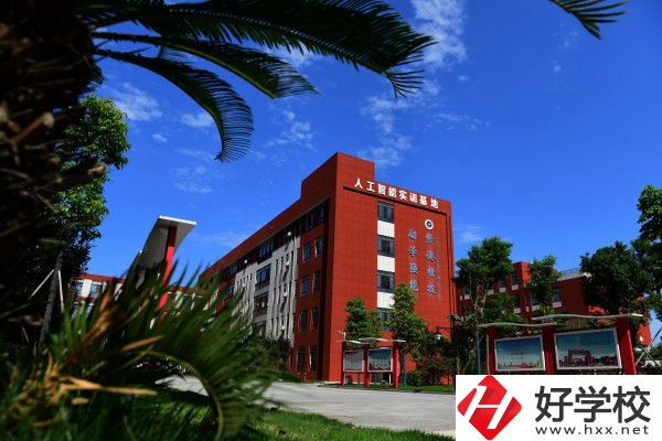 岳陽市有學(xué)工業(yè)機(jī)器人技術(shù)專業(yè)的中職學(xué)校嗎？