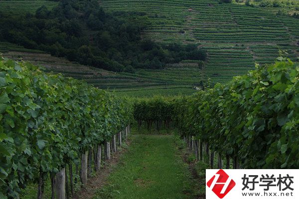 中鋼集團(tuán)衡陽重機(jī)技工學(xué)校好不好？值得讀嗎？