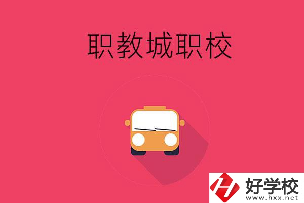 株洲職教城有什么職校？