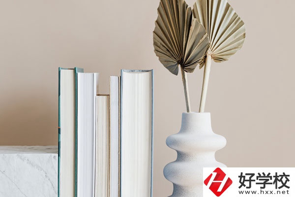 懷化職業(yè)技術學院(中職部)好不好，值得選擇嗎？