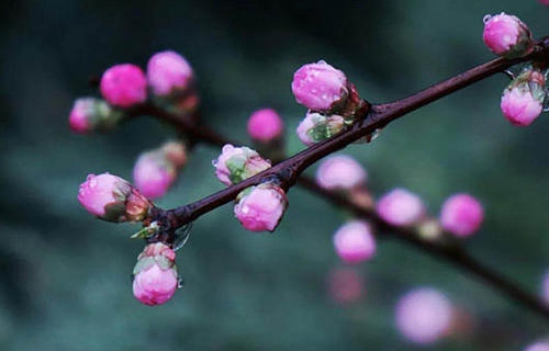 棲霞市高級職業(yè)學(xué)校