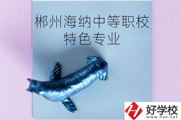 郴州海納中等職業(yè)技術(shù)學(xué)校有些什么特色專業(yè)？