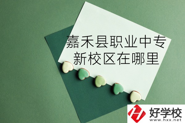嘉禾縣職業(yè)中專怎么樣？新校區(qū)在哪里？