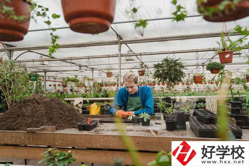 湖南省湘潭縣職校有什么專業(yè)可以選擇？