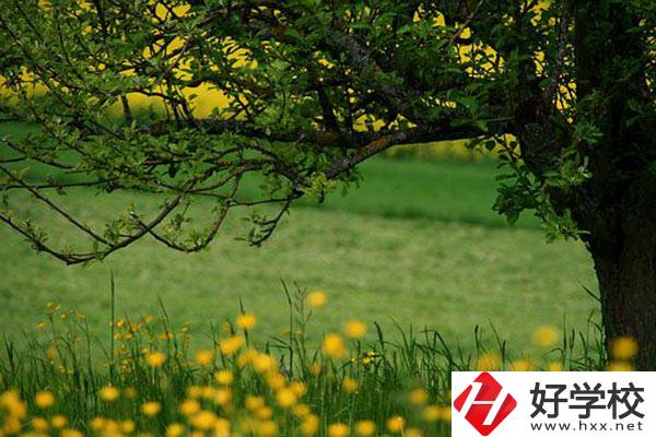 在邵陽(yáng)讀中職有前途嗎？如何選擇學(xué)校呢？
