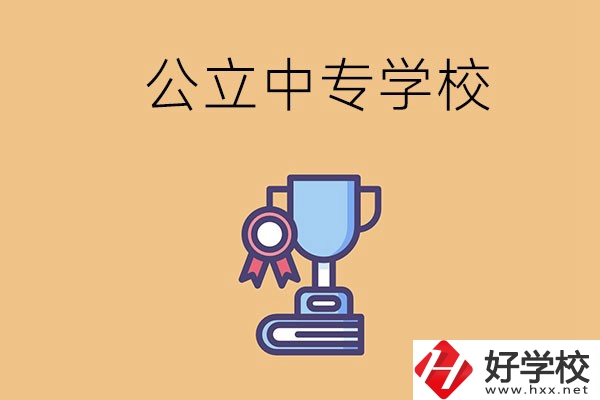 常德的公立中專學校有哪些？有什么特色？