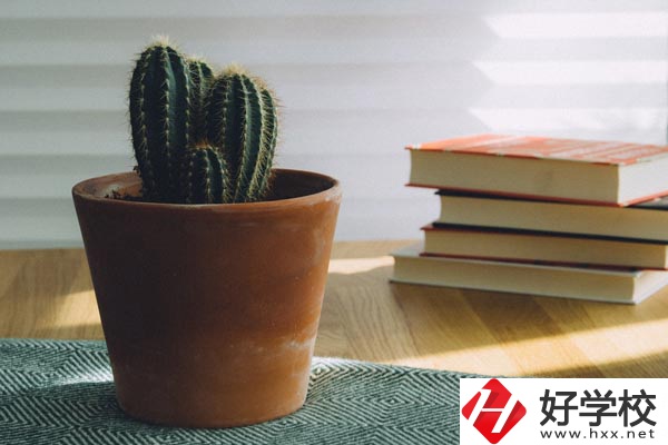 桃江縣職業(yè)中專學(xué)校辦學(xué)條件怎么樣？有哪些特色？