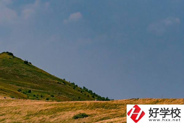 想在常德學動漫設計專業(yè)，有合適的學校嗎？