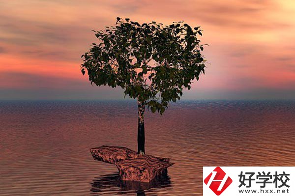 湖南省中南藝術(shù)學(xué)校收費(fèi)標(biāo)準(zhǔn)怎么樣？