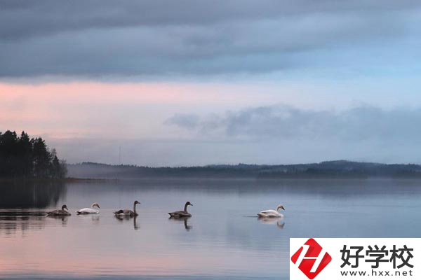 湖南有色金屬中專學(xué)校的專業(yè)、就業(yè)方向