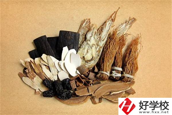 在湘西學(xué)中草藥栽培怎么樣？開設(shè)此專業(yè)的學(xué)校有哪些？