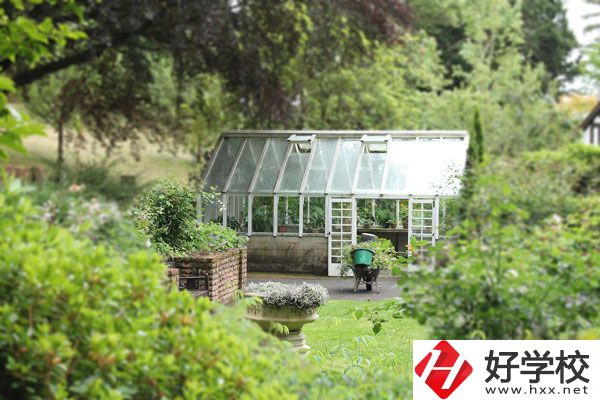 湖南省商業(yè)技師學(xué)院開設(shè)哪些專業(yè)？就業(yè)情況如何？