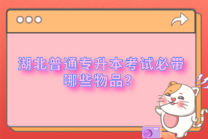 湖北普通專升本考試必帶哪些物品？