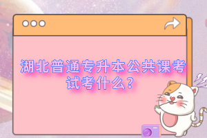 湖北普通專升本公共課考試考什么？