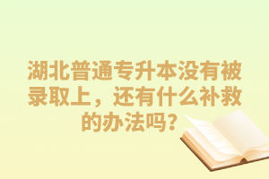 湖北普通專升本沒有被錄取上，還有什么補救的辦法嗎？