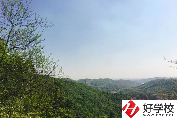 株洲人工智能職業(yè)技術(shù)學(xué)校哪個專業(yè)更好？