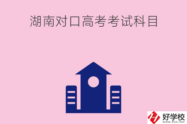 湖南中職生對(duì)口高考考試科目都有哪些？考試難不難？