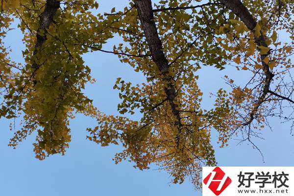 株洲有哪些比較好的中專學(xué)校？