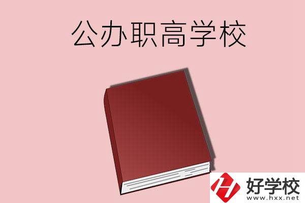 湖南有什么公辦的職高學(xué)校？