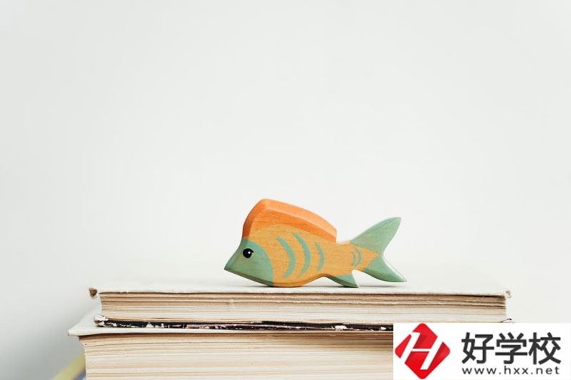 長(zhǎng)沙市英藍(lán)中等職業(yè)學(xué)校學(xué)費(fèi)多少？貴不貴？