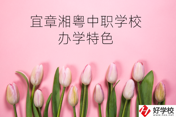 宜章湘粵中職學校在哪？有什么辦學特色？