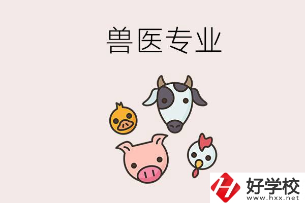 湖南哪些職校能學獸醫(yī)專業(yè)？學獸醫(yī)前景怎么樣？