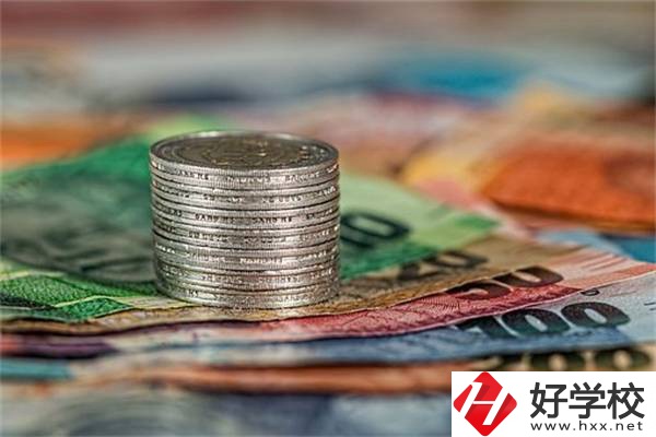 湖南職校會計電算化專業(yè)怎么樣？就業(yè)前景好不好？