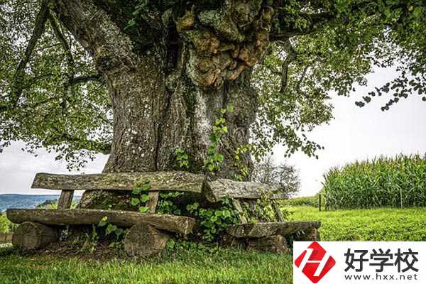 湖南特教中等專業(yè)學(xué)校有專業(yè)、資助政策。