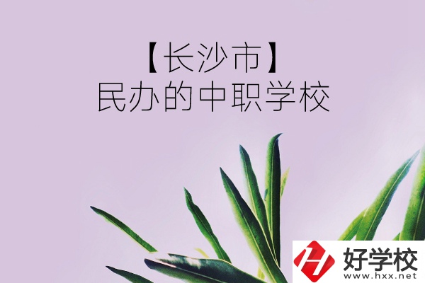 長(zhǎng)沙市有哪些民辦的中職學(xué)校？