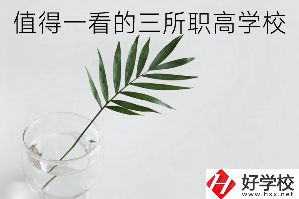 湖南有什么好的職高學(xué)校？這3所學(xué)校值得一看！