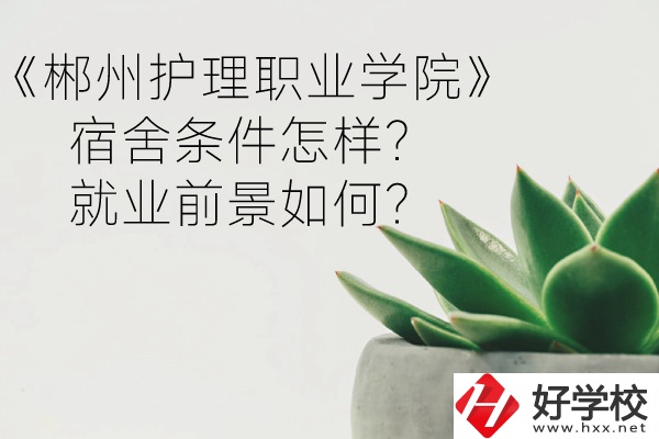 郴州護(hù)理職業(yè)學(xué)院宿舍條件怎樣？就業(yè)前景如何？