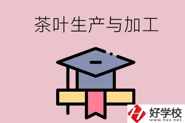 湖南哪些技校開設(shè)了茶葉生產(chǎn)與加工專業(yè)？