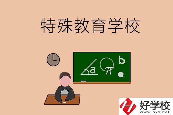 湖南省有哪些特殊教育學(xué)校？