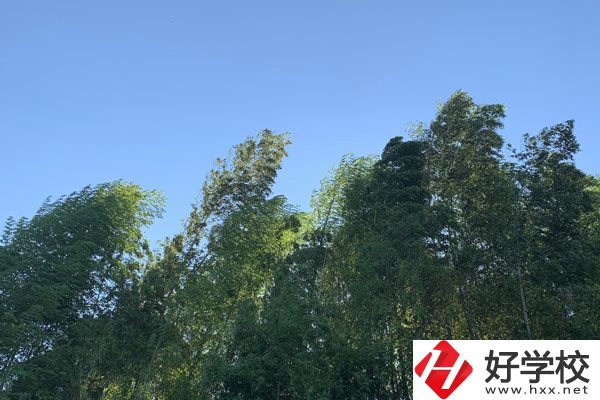 張家界協(xié)力技工學(xué)校好不好？就業(yè)前景怎么樣？