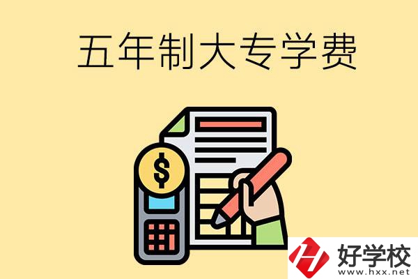 在長沙讀五年制大專一年學(xué)費(fèi)是多少？有補(bǔ)貼嗎？