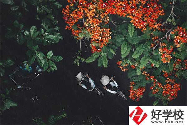 湖南分數(shù)低選私立高中還是選職校？選職校還能統(tǒng)考嗎？