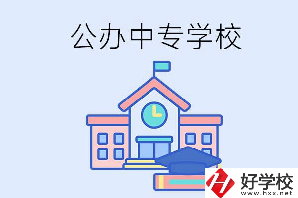 湘西一共有多少所公辦的中專學(xué)校？